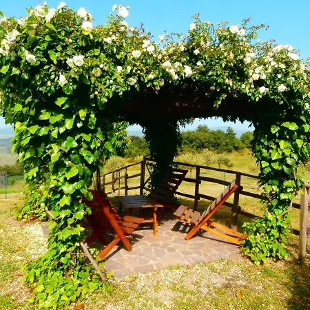Casa Bacci Daire *